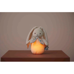 K218030-Capture d’ecran 2026-01-28 144938