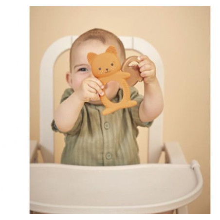 DUO DENTITION & REFRIGERE ECUREUIL