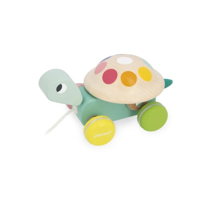 TORTUE A PROMENER ZIGOLOS