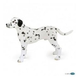dalmatien