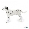 DALMATIEN