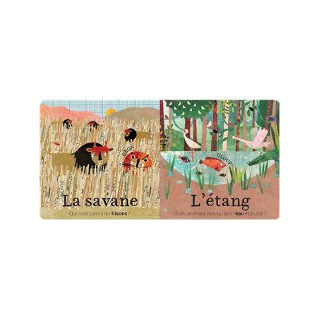 Mes premières découvertes - sur la Terre