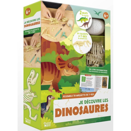 AUZOU_LAB__DECOUVRE_DINOSAURES-Capture d’ecran 2025-10-14 175123