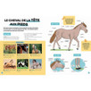 LUDOC' - DÉCOUVRIR ET COLLECTIONNER : LES CHEVAUX