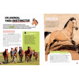 001047938-9791039549790_2