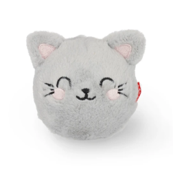 PBB0004-Capture d’ecran 2026-02-11 155730