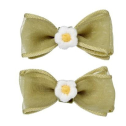 107687-Capture d’ecran 2026-02-17 140844