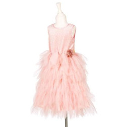 101141-Capture d’ecran 2026-02-17 143232