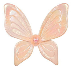 107419-Capture d’ecran 2026-02-17 204654