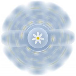 7138-petaloune-heliloune (5)