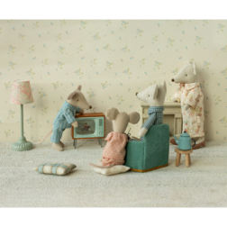 Télévision, Souris