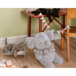 16-5996-01-Capture d’ecran 2026-02-20 100223