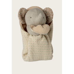 16-6971-00-Capture d’ecran 2026-02-20 103415