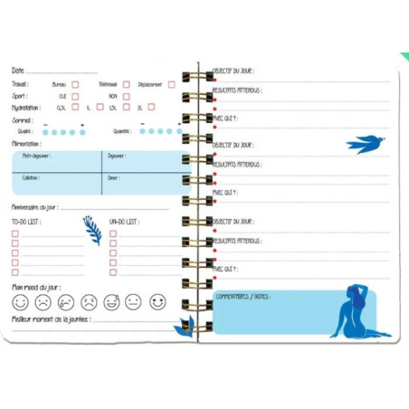 TEMA23-Capture d’ecran 2026-03-13 161102
