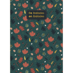 CMD298-Capture d'ecran 2024-07-05 183340