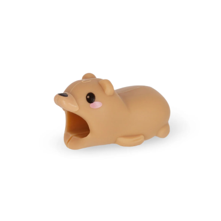 CPR0005-Capture d’ecran 2026-03-17 110445