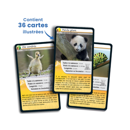 Defis_Nature_-_Bebes_animaux-Capture d’ecran 2026-03-28 102553