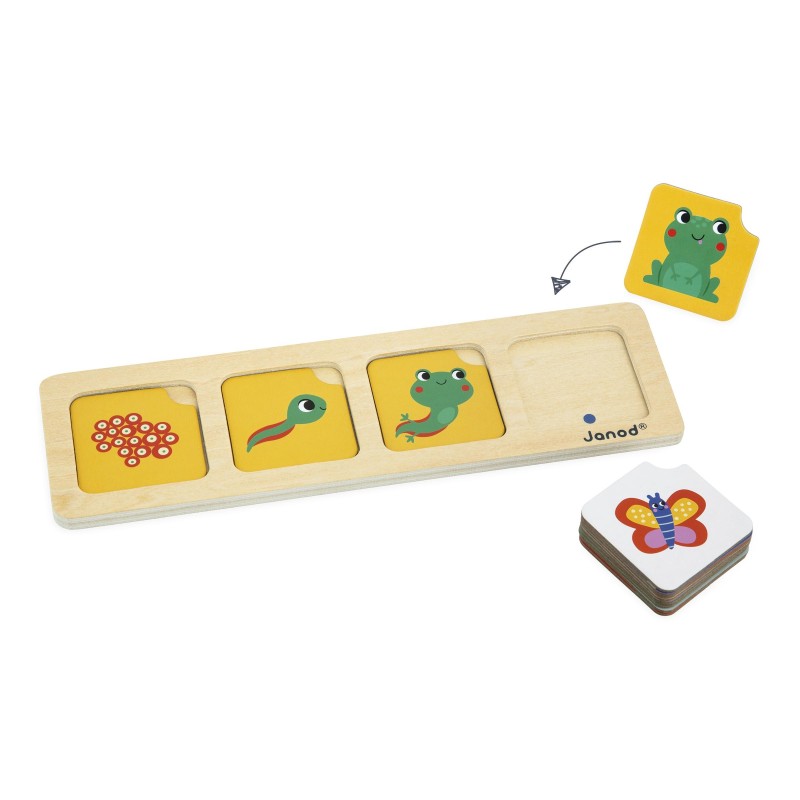 CARTES SEQUENCES - LE JARDIN