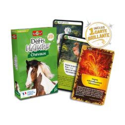 Defis_Nature_-_Chevaux-Capture d’ecran 2026-03-28 103341