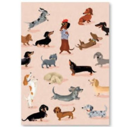 CMD314-Capture d’ecran 2024-02-13 164235