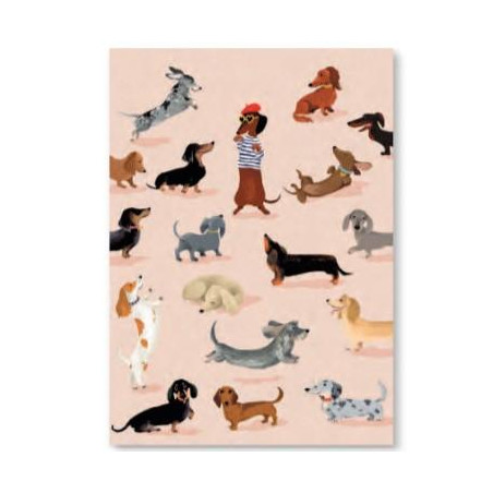 CMD314-Capture d’ecran 2024-02-13 164235