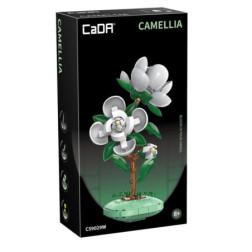 CDC59029W-Capture d’ecran 2026-04-03 101412