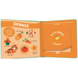 LIVRE DES ODEURS ET DES COULEURS : FRUITS EN FOLIE