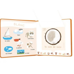 MON LIVRE DES ODEURS et DES COULEURS : LE MONDE