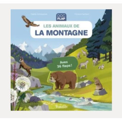 MONTAGNE-Capture d’ecran 2023-11-30 222120