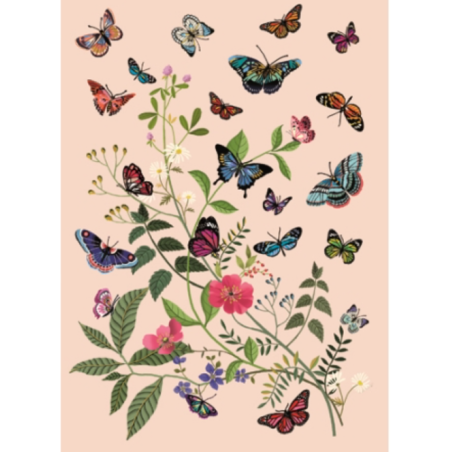 CMD311-Capture d'ecran 2024-07-05 183545