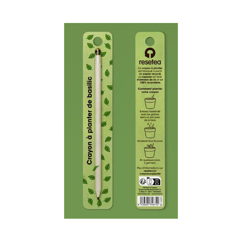 Crayon à planter de basilic
