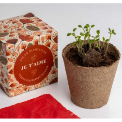 Frst070-Capture d’ecran 2026-04-16 114642