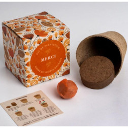 Dites-le avec des Fleurs (Merci)