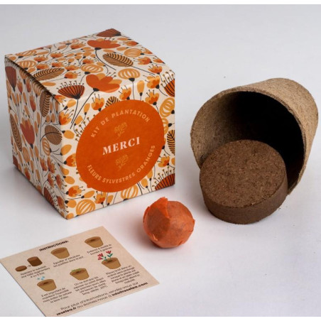 Dites-le avec des Fleurs (Merci)