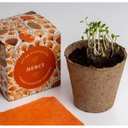 Frst073-Capture d’ecran 2026-04-16 115806