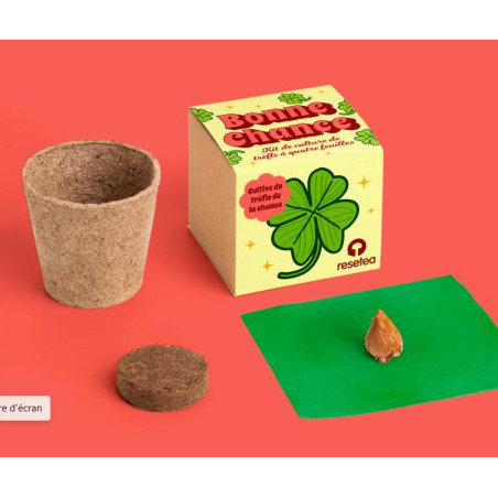 Bonne chance – Kit de culture de trèfle à quatre