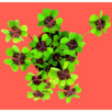 Bonne chance – Kit de culture de trèfle à quatre
