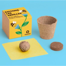 Sauvons les abeilles – Kit de culture de fleurs mellifères