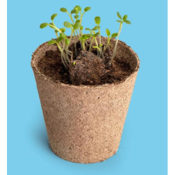 Frst660-Capture d’ecran 2026-04-16 120456