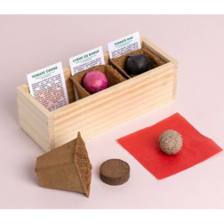 Mini potager de tomates