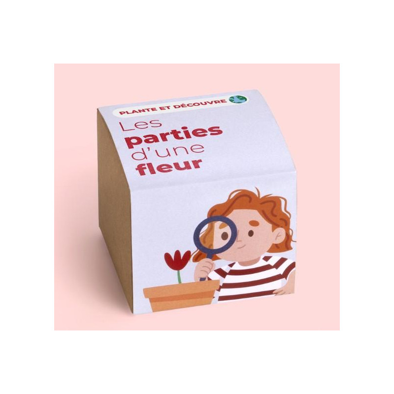 Plante et découvre: Les parties d’une fleur