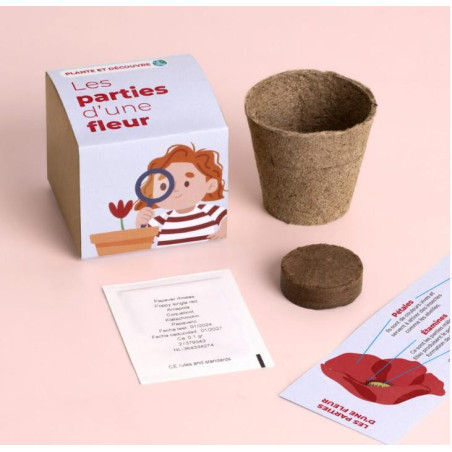 Plante et découvre: Les parties d’une fleur