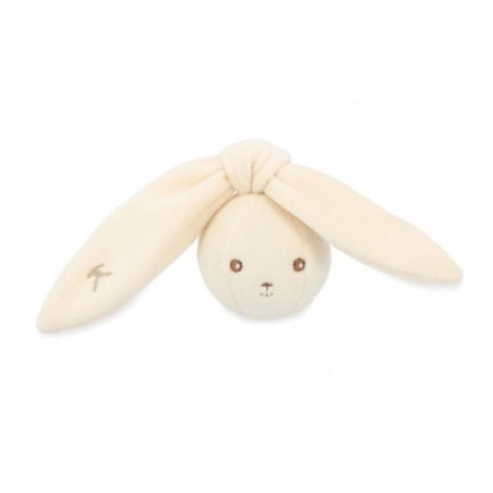 K218007-Capture d’ecran 2026-04-18 160324