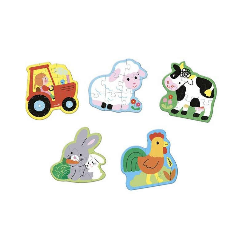 5 PUZZLES EVOLUTIFS FERME