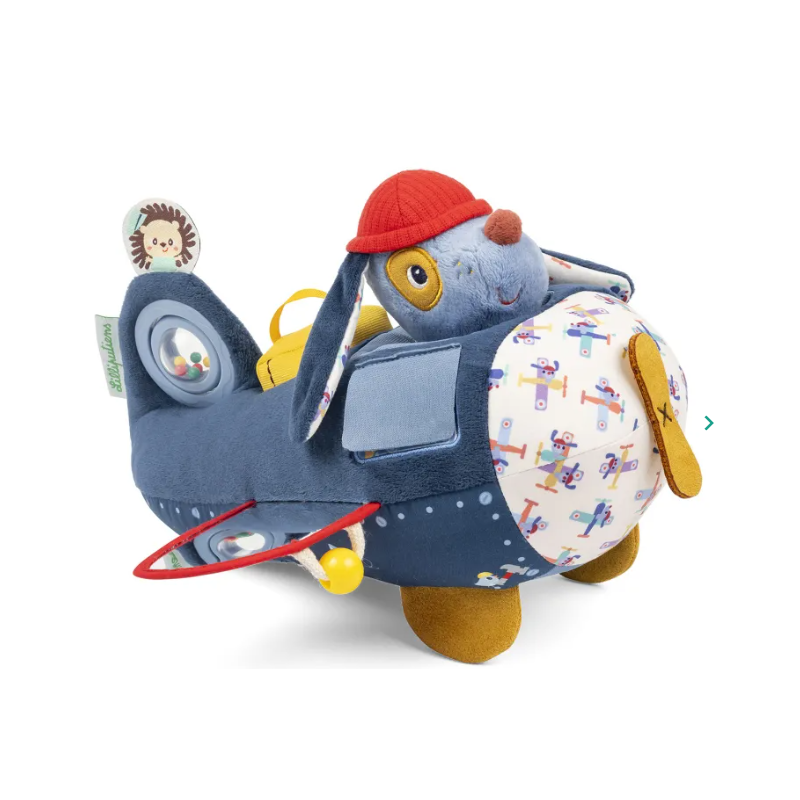 JULES AVION D ACTIVITES