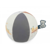 MON BALLON CHATON