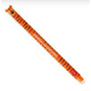 Stylo Effaçable Tiger « Grrreat Adventure »