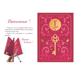 COSY LOVE ET CHRISTMAS CRIME