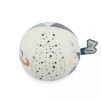 Mon Ballon Chou chiot