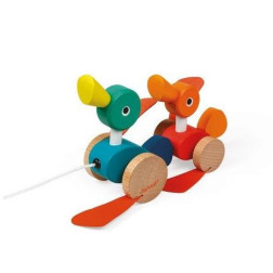 CANARDS A PROMENER ZIGOLOS